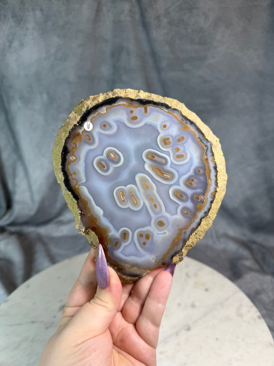 Blue Orb Agate slabs.