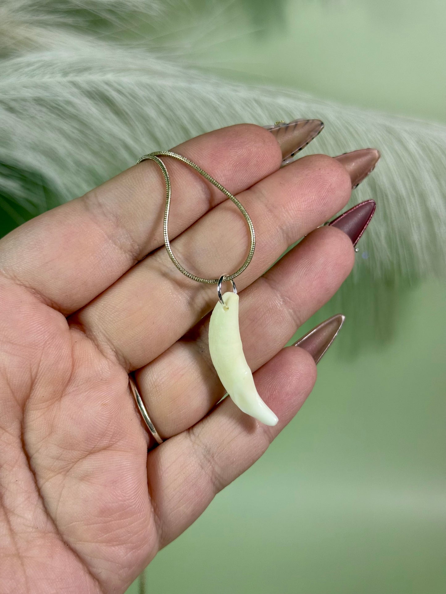 Real coyote fang necklace. Sterling silver.￼