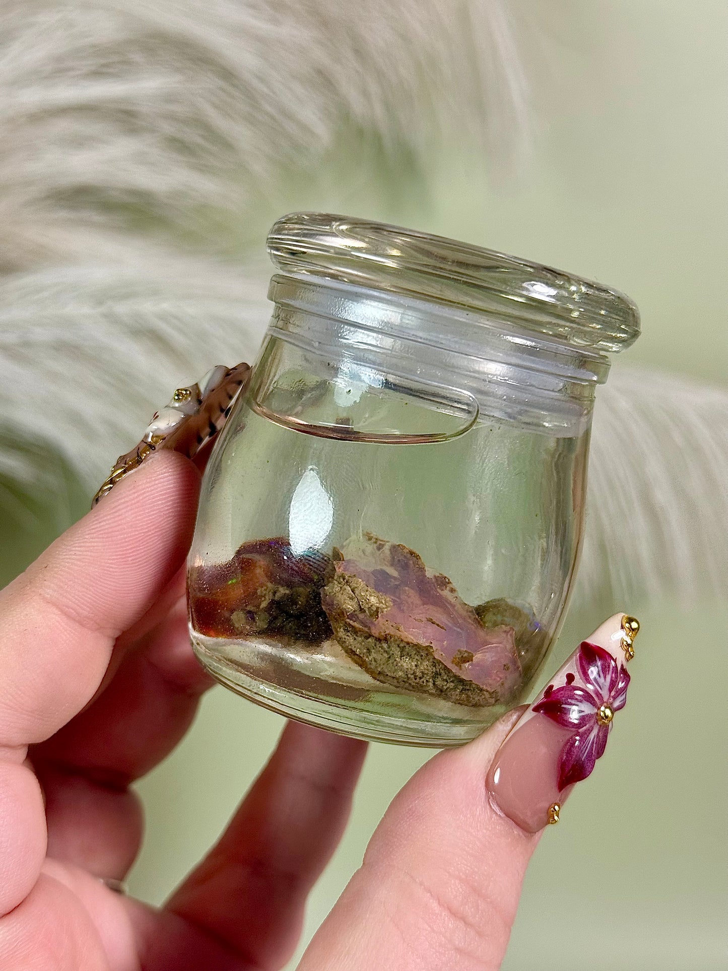Ethiopian water opal jar. 3 opals.