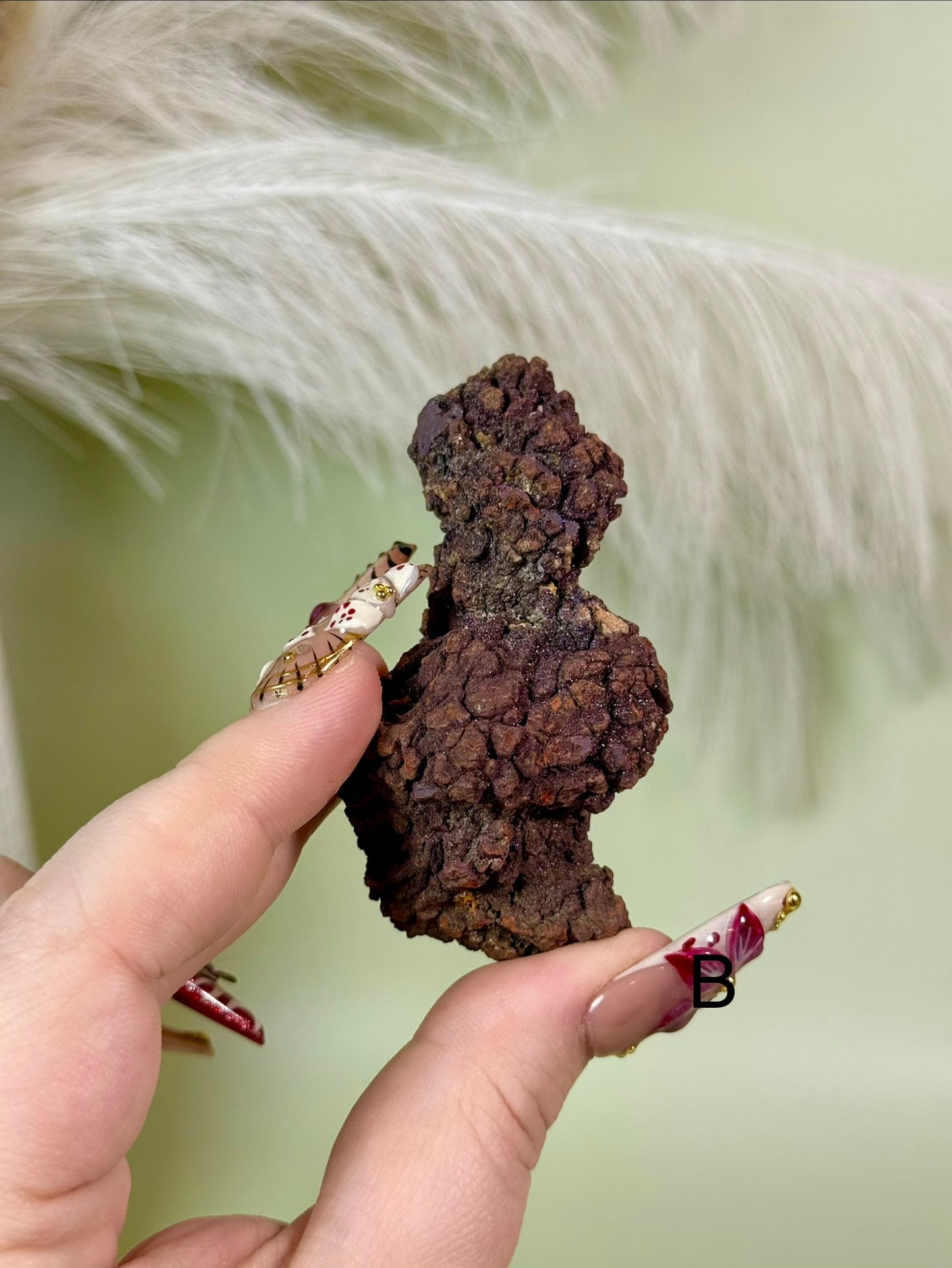 Sparkly Fossilized Coprolite with Druzy from
Madagascar. (Dinosaur poop.)