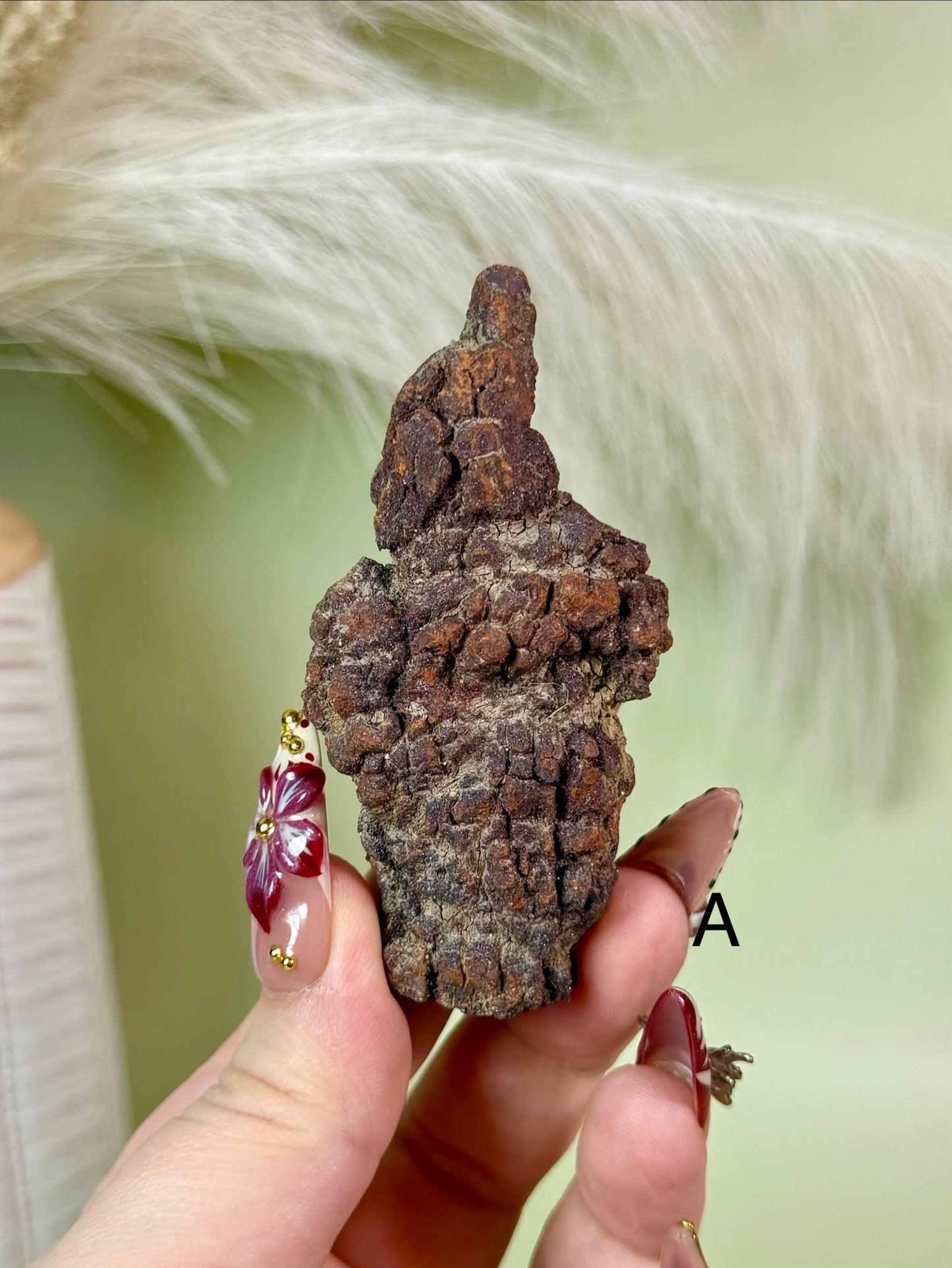 Sparkly Fossilized Coprolite with Druzy from
Madagascar. (Dinosaur poop.)