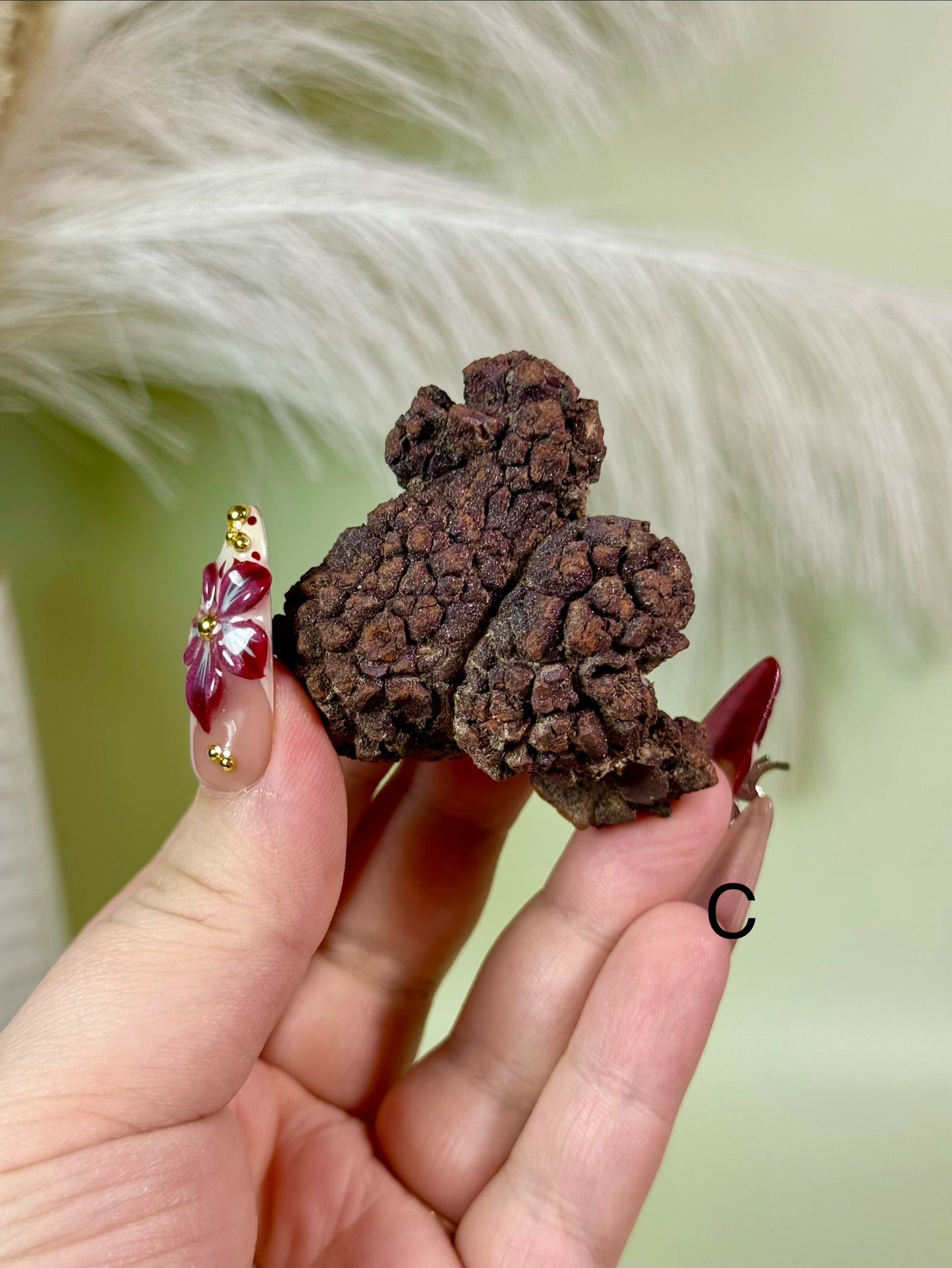 Sparkly Fossilized Coprolite with Druzy from
Madagascar. (Dinosaur poop.)