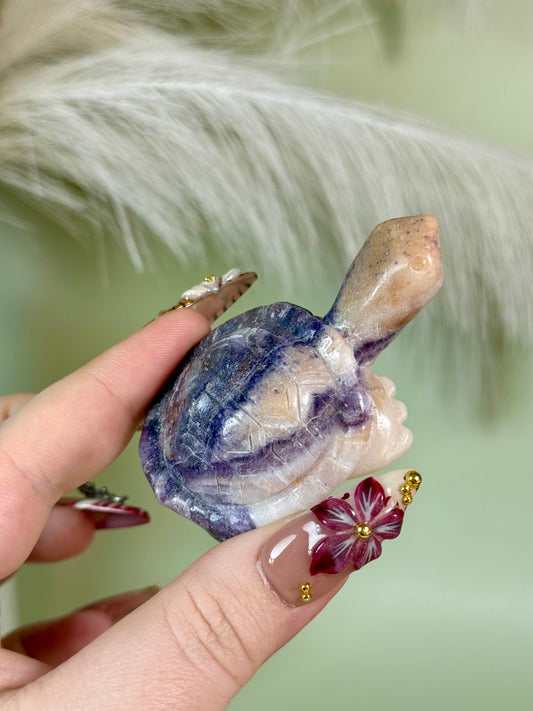 Opalized Fluorite turtle.