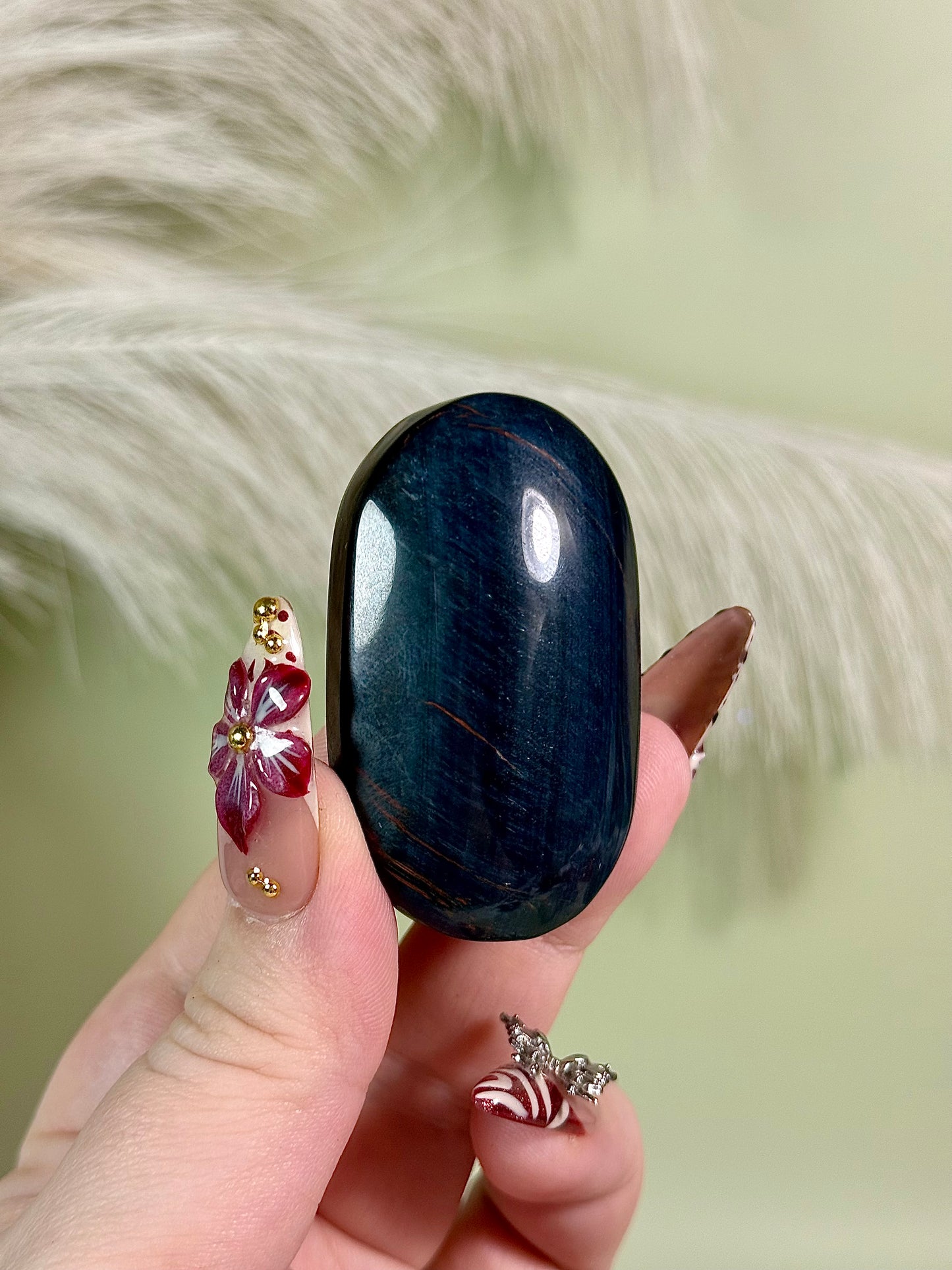 Blue tigers eye palm.