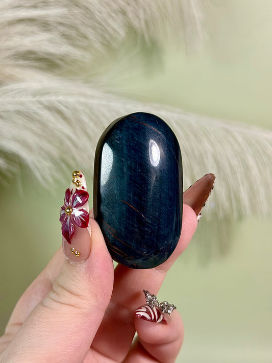 Blue tigers eye palm.