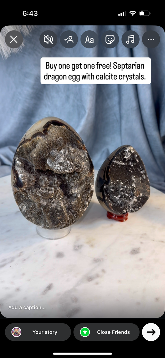 Buy one get one Septarian dragon eggs.