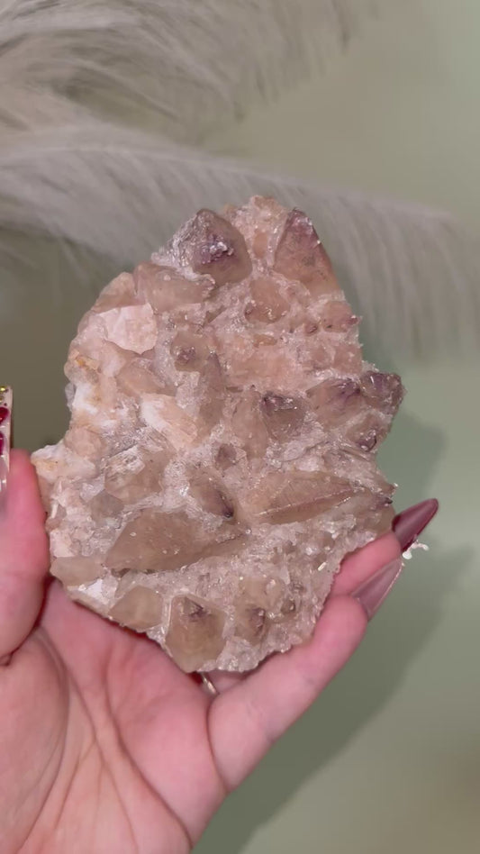 Champagne Dogtooth calcite with yttrium fluorite micro druzy & selenite crystals.