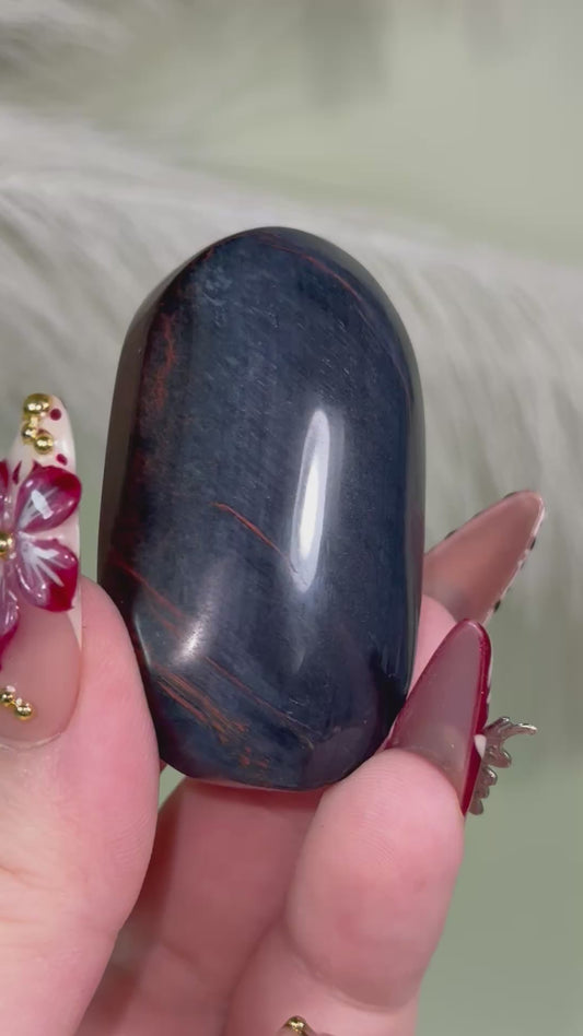 Blue tigers eye palm.