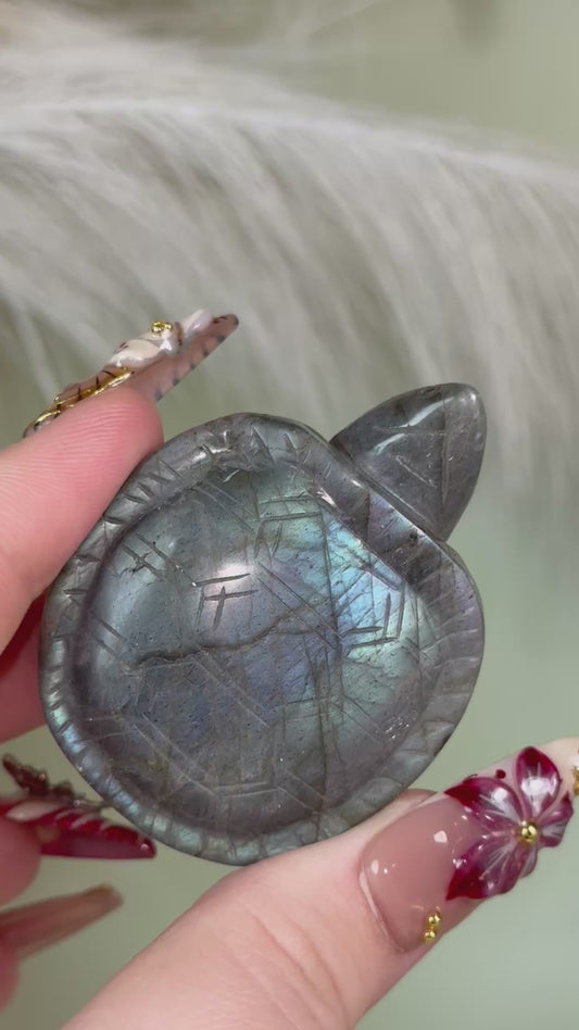 Teal & blue labradorite turtle.