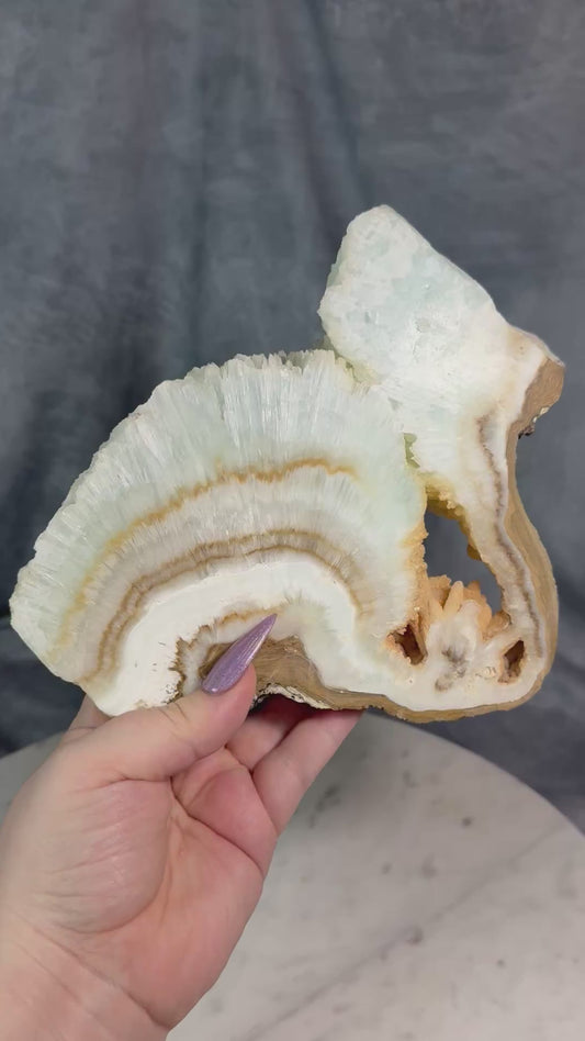 Blue Aragonite slab. 🦢